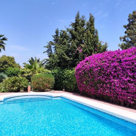 Villa with Private Pool in Alicante, Costa Blanca San Vicente Raspeig Esterno foto