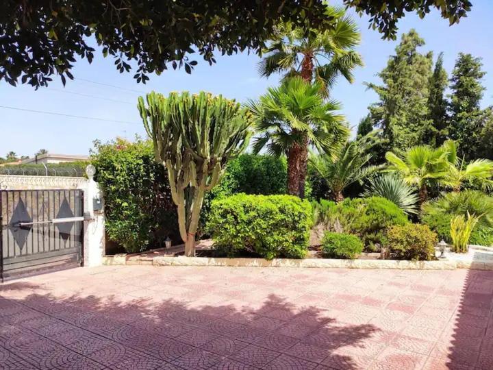 Villa with Private Pool in Alicante, Costa Blanca San Vicente Raspeig Esterno foto